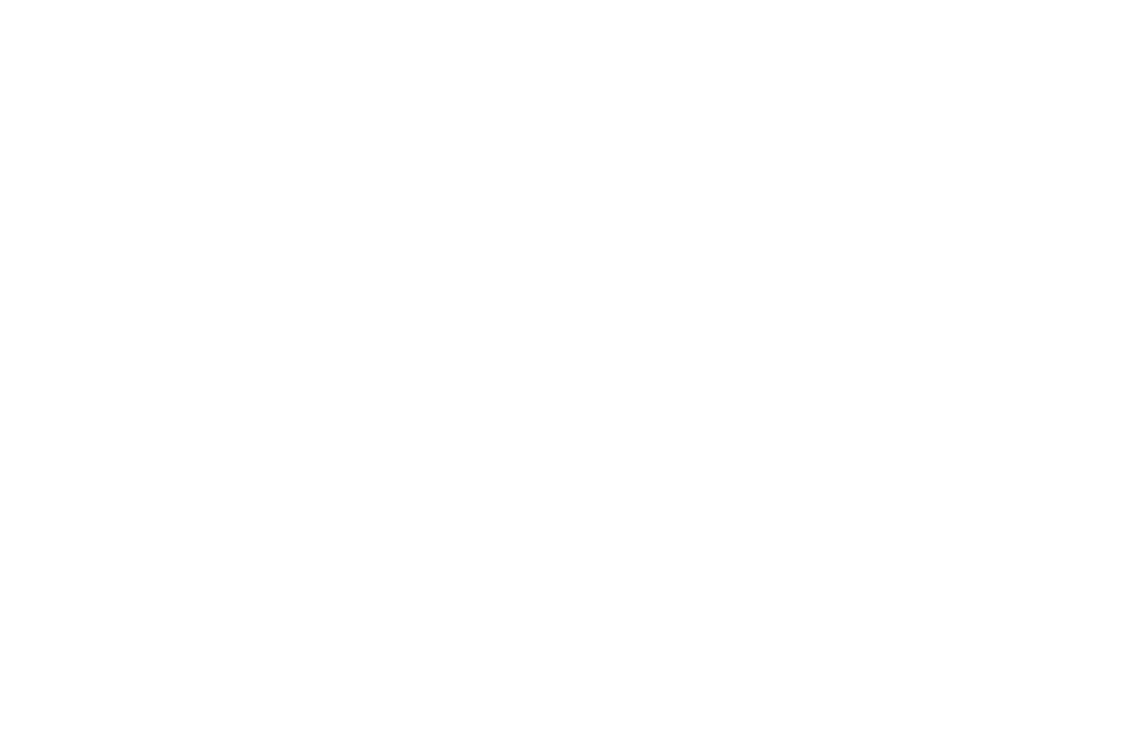 Levelling up logo white